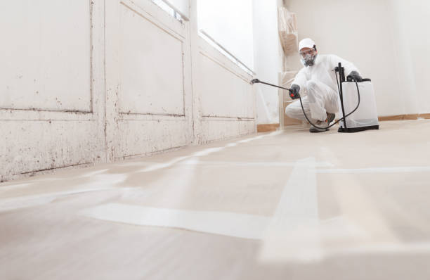 24/7 Emergency Mold Remediation experts in Stokes, NC